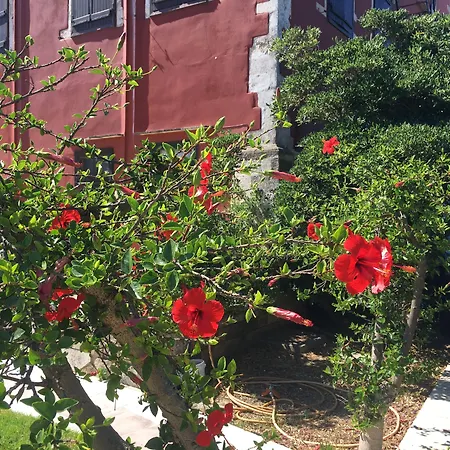 Oasis Guesthouse-3